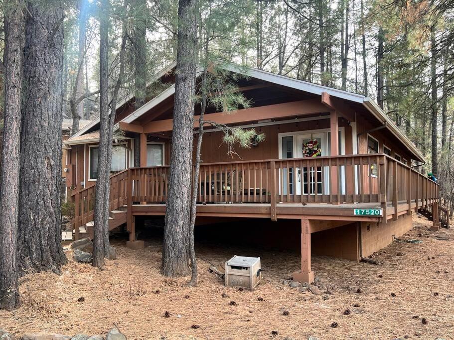 The Bluejay Cabin At Munds Park, Az! Sedona Exteriér fotografie